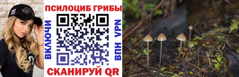 сколько стоит  Верхняя Салда  Псилоцибиновые грибы мицелий 