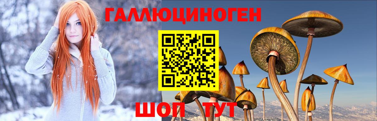 Галлюциногенные грибы ЛСД  Верхняя Салда 