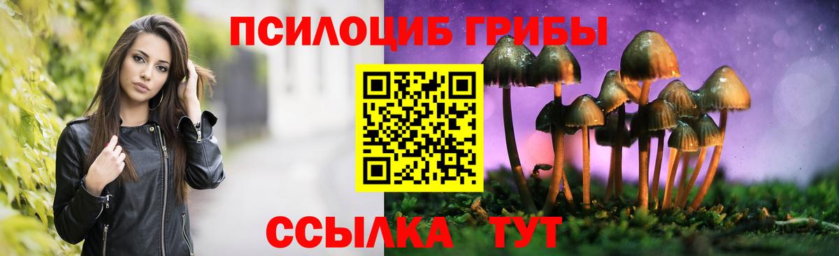 Галлюциногенные грибы прущие грибы Верхняя Салда