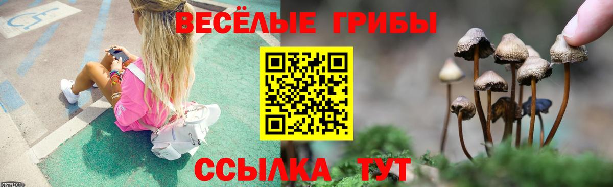 Галлюциногенные грибы MAGIC MUSHROOMS  Псилоцибиновые грибы мицелий  Верхняя Салда  Вход с VPN 